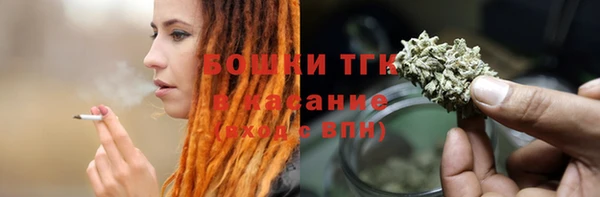 амф Гусь-Хрустальный