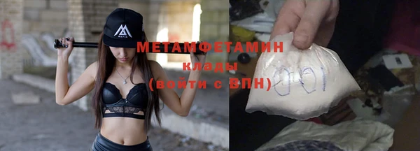 амф Гусь-Хрустальный