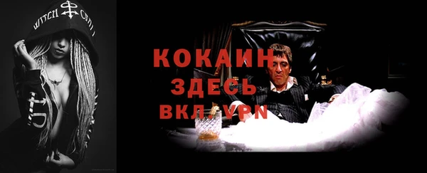 амф Гусь-Хрустальный