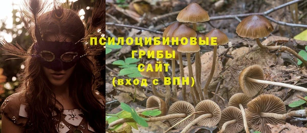 амф Гусь-Хрустальный