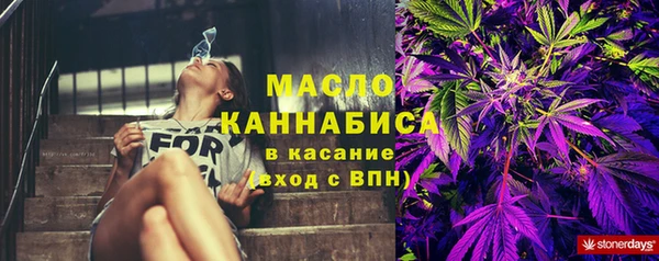 амф Гусь-Хрустальный