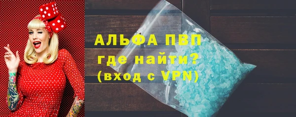 амф Гусь-Хрустальный