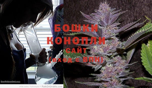 амф Гусь-Хрустальный