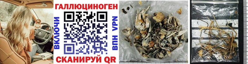 Купить  Каменск-Шахтинский  Псилоцибиновые грибы MAGIC MUSHROOMS 